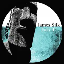 Fake It - Single by James Silk album reviews, ratings, credits