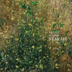 Near Me - Single by Daniel Wilson album reviews, ratings, credits