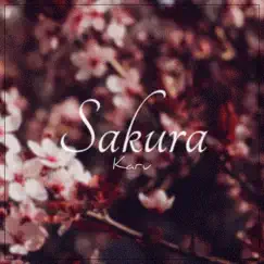 Sakura - Single by Karu album reviews, ratings, credits