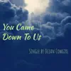 You Came Down to Us - Single album lyrics, reviews, download