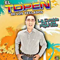 La Cumbia de Los Pajaritos by El Topen De Los Teclados album reviews, ratings, credits