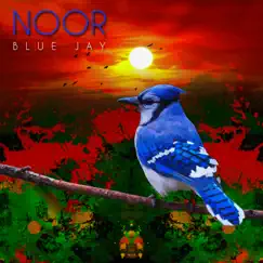 Blue Jay - Single by Noor album reviews, ratings, credits