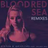 Blood Red Sea - Mike Jolly Remix song lyrics