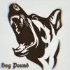 Dog Pound - Single album lyrics, reviews, download