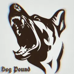 Dog Pound - Single by Illestxj album reviews, ratings, credits