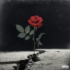 The Rose From the Concrete - Single by ROSEGOLDSOUNDS album reviews, ratings, credits