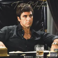Tony Montana - Single by Tist album reviews, ratings, credits