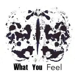 What You Feel - Single by Keston album reviews, ratings, credits