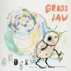 Germs album lyrics, reviews, download