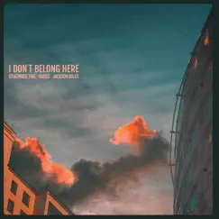 I Don’t Belong Here (feat. Jackson Bales) - Single by Bardz & Otherwise Fine album reviews, ratings, credits