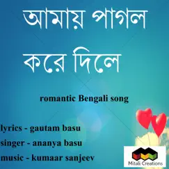 Amay Pagal Kare Dile (feat. Ananya Basu) Song Lyrics