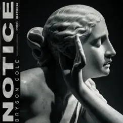 Notice - Single by Bryson Cole album reviews, ratings, credits