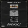 Surewhynot - Single album lyrics, reviews, download