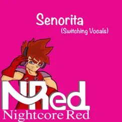 Senorita (Switching Vocals) Song Lyrics