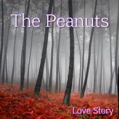 Love Story by The Peanuts album reviews, ratings, credits