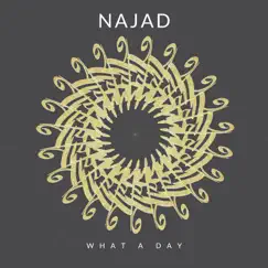 What a Day - Single by Najad album reviews, ratings, credits