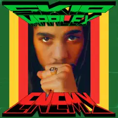 Enemy - Single by Skip Marley album reviews, ratings, credits
