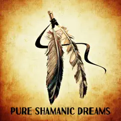 Pure Shamanic Dreams: Ethnic Soundscapes for Spiritual Journey, Positive Thinking, Flute and Drums Music for Deep Sleep and Relaxation by Shamanic Drumming World & Spiritual Enlightenment Unit album reviews, ratings, credits