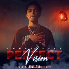 Perfect Vision - Single by Larry Dubb album reviews, ratings, credits