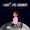 I Won't Cry Anymore - Single album lyrics, reviews, download