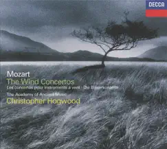 Flute Concerto No. 1 in G, K. 313: III. Rondo (Tempo Di Menuetto) Song Lyrics