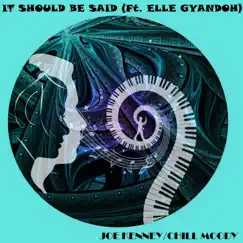 It Should Be Said (feat. Elle Gyandoh) Song Lyrics