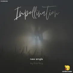 Impollination - Single by Bob Ray album reviews, ratings, credits
