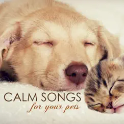 Feline & Canine Relaxation Song Lyrics