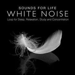 White Noise Loop for Sleep, Relaxation, Study and Concentration - Single by Sounds for Life album reviews, ratings, credits