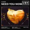 Need You Now - Single album lyrics, reviews, download