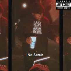 No Scrub Song Lyrics