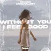 Without You I Feel Good song lyrics