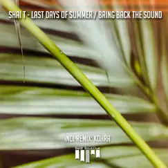 Last Days of Summer / Bring Back the Sound - Single by Shai T album reviews, ratings, credits