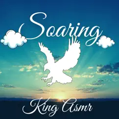 Soaring - Single by King Asmr album reviews, ratings, credits