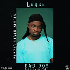 Bad Boy - Single by Luqee album reviews, ratings, credits