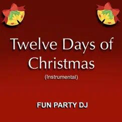 Twelve Days of Christmas (Instrumental) Song Lyrics