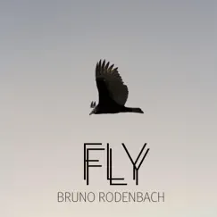 Fly - Single by Bruno Rodenbach album reviews, ratings, credits