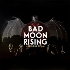 Bad Moon Rising (Cover) [feat. Peter Dreimanis] Song Lyrics
