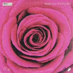 What You Wanna Do? (feat. Amaya) - Single by Hundo album reviews, ratings, credits