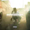 Breesh - Single album lyrics, reviews, download