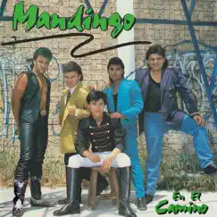 En El Camino by Mandingo album reviews, ratings, credits