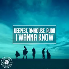 I Wanna Know - Single by Deepest, AMHouse & RuDii album reviews, ratings, credits