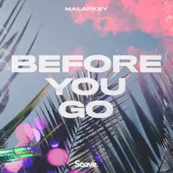 Before You Go - Single by Malarkey album reviews, ratings, credits