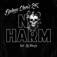 No Harm (feat. 2K Foozie) Song Lyrics