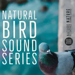 Nature Bird Sounds Song Lyrics