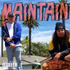 Maintain - Single by Swellside Tribe album reviews, ratings, credits