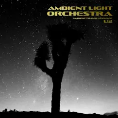 Ambient Translations of U2 by Ambient Light Orchestra album reviews, ratings, credits