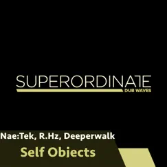 Self Objects - Single by Nae:Tek, R.Hz & Deeperwalk album reviews, ratings, credits