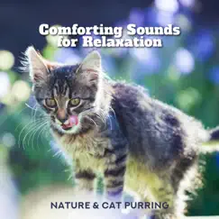 Comforting Sounds for Relaxation - Nature & Cat Purring by Sound Therapy Masters & Natural Healing Music Zone album reviews, ratings, credits