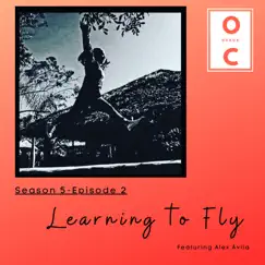 Season 5, Episode 2: Learning to Fly (feat. Alex Avila) [Remix] Song Lyrics